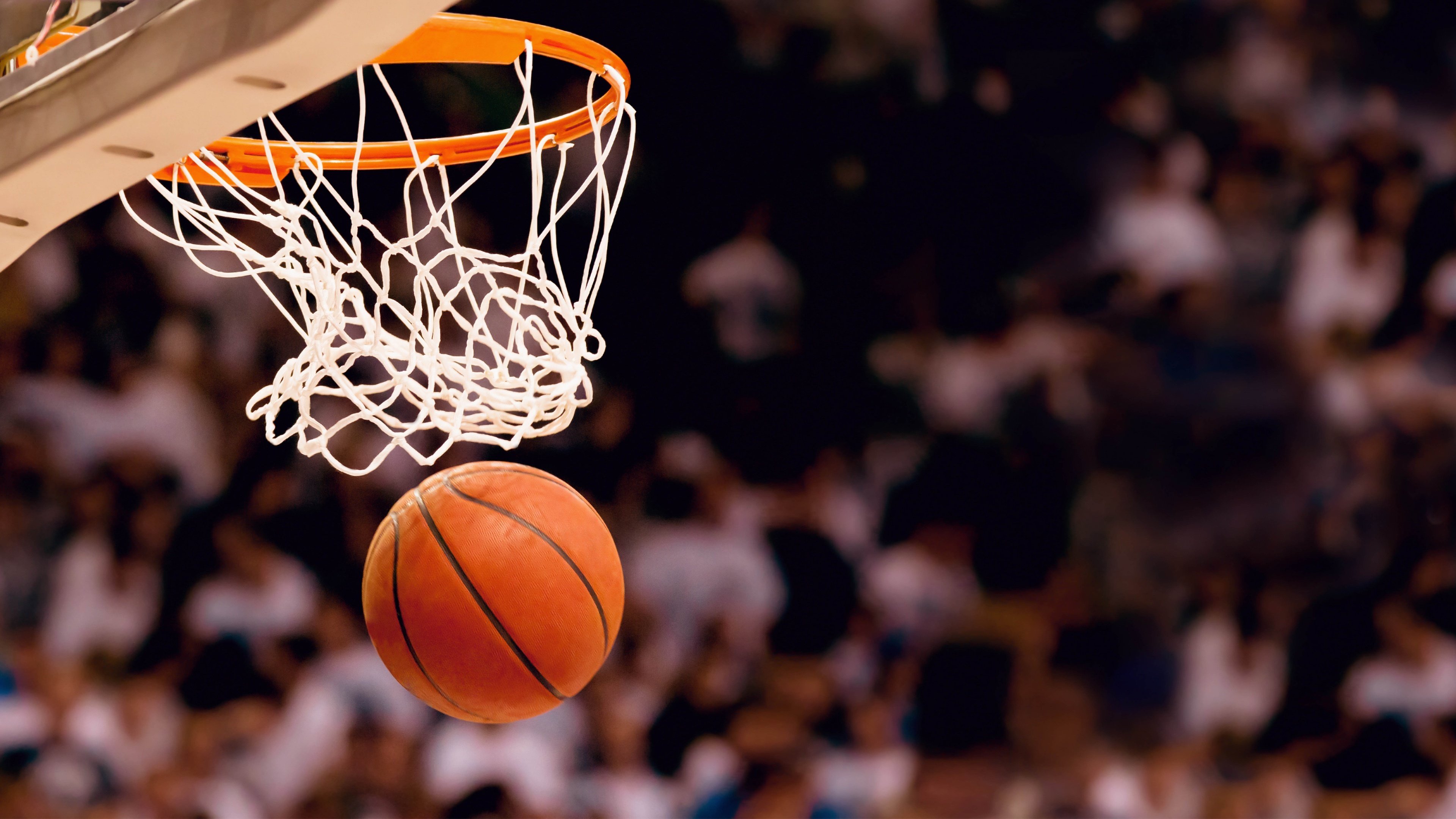 开云体育下载-未来五年：NBA的发展趋势及新变化预判，nba发展了多少年