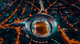 开云体育入口-埃及队未来规划：全方位打造高水平乒乓队伍，埃及乒乓球男团名单